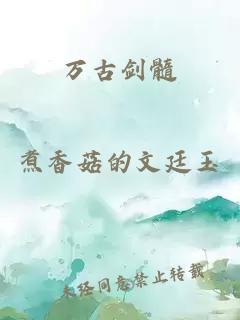 萬(wàn)古劍髓
